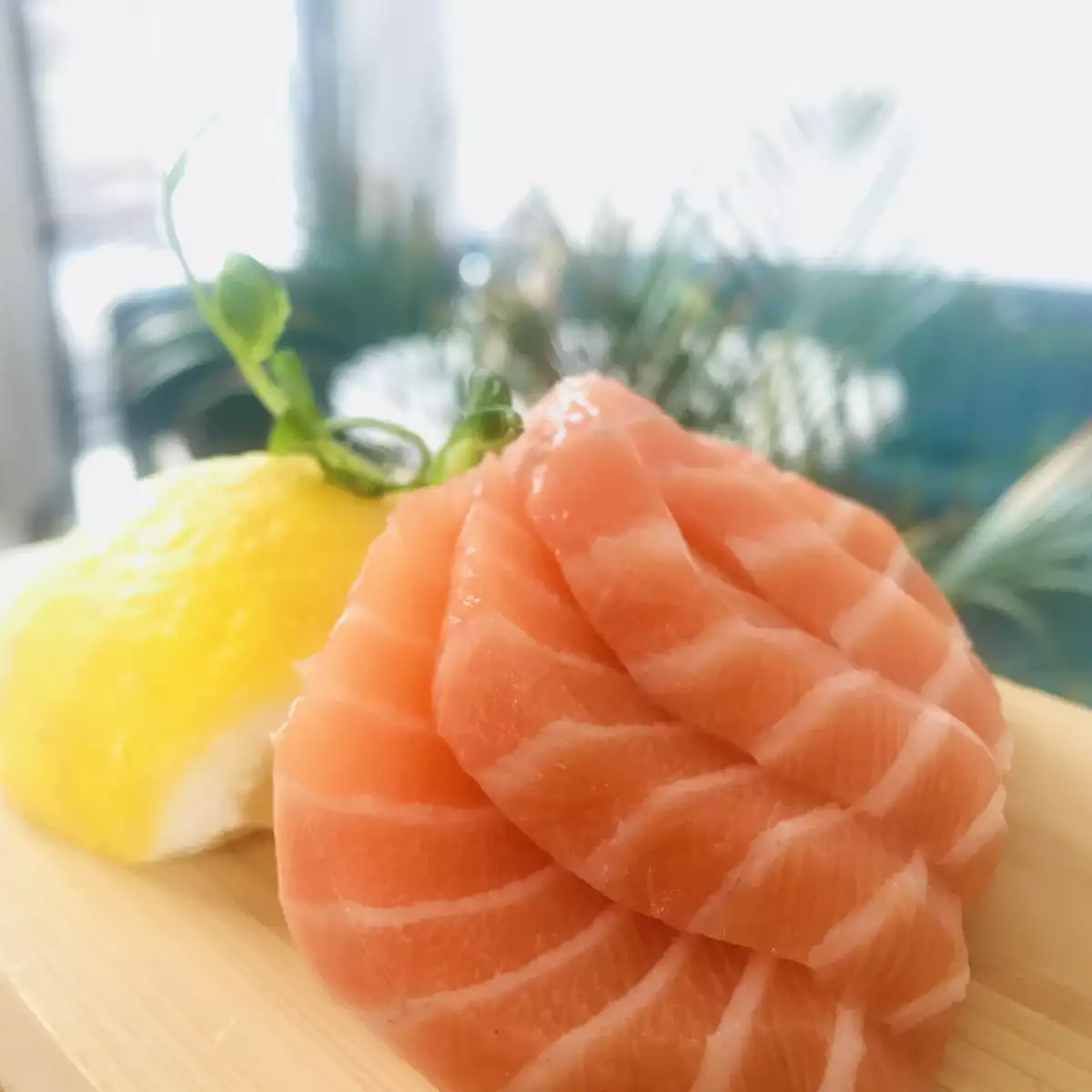 Plateau sashimis saumon 6pieces